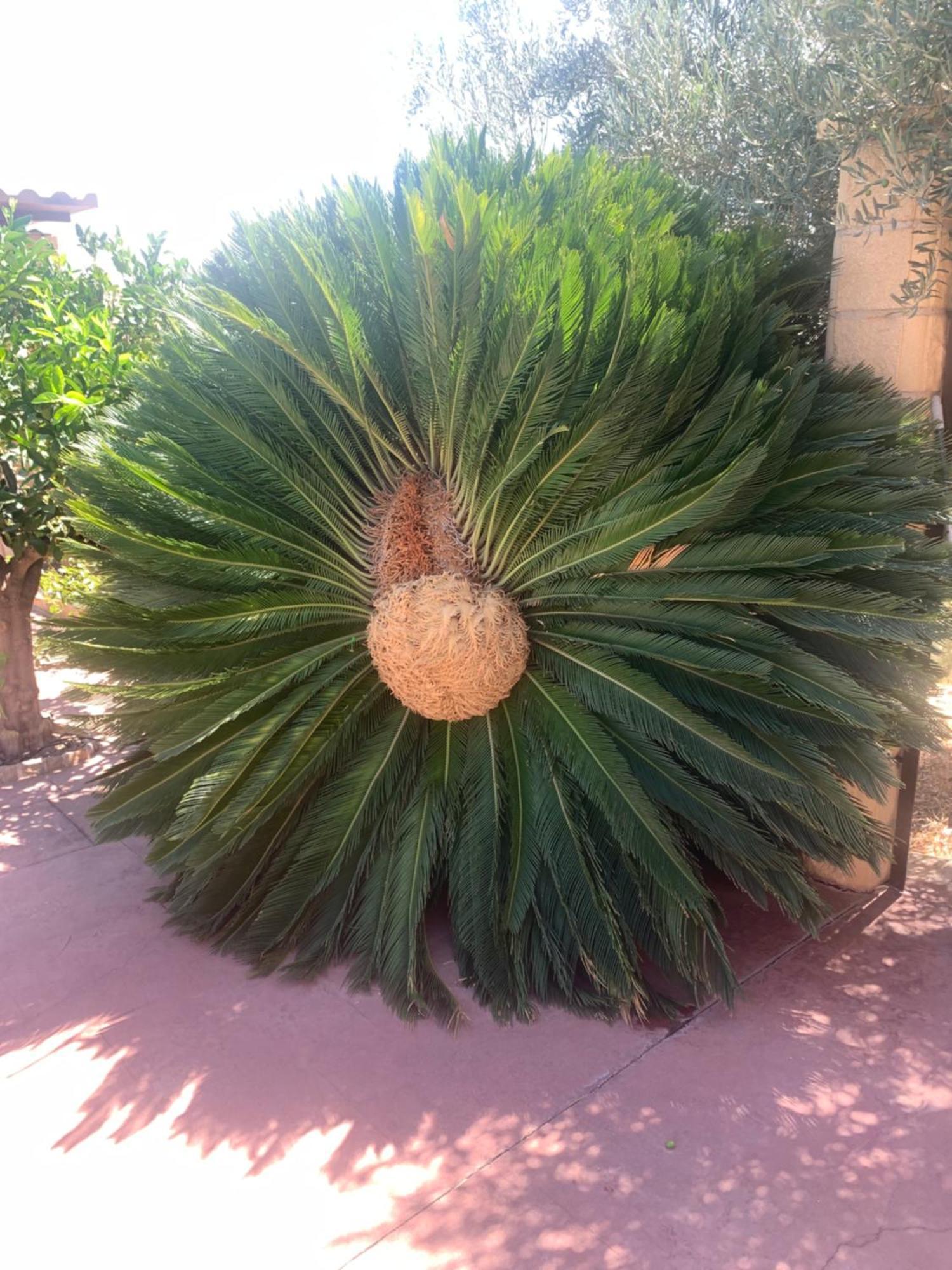 El Rincon De Caminito Del Rey Villa Valle de Abdalagis Ngoại thất bức ảnh